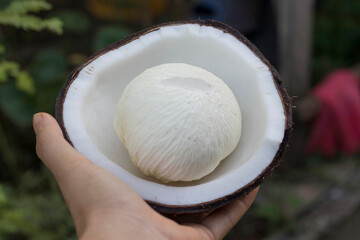 Woman holding half-cut coconut having embryo coconut.