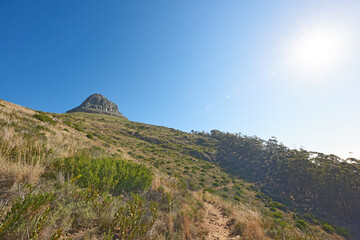 Fototapeta na wymiar Landscape view of Lions Head mountain, blue sky with copy space on Table Mountain, Cape Town, South Africa. Calm, serene, tranquil, countryside and relaxing nature scenery. Wild tourism destination
