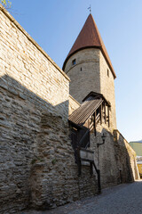 Grusbeke-Tagune tower in Tallinn, Estonia