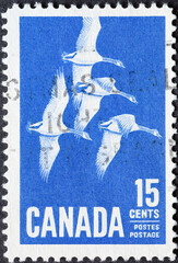 CANADA - CIRCA 1963: a postage stamp from CANADA, showing Canada Goose (Branta canadensis). Circa 1963.