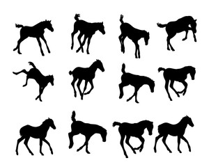 Set of horse silhouette in line art style.Horse vector by hand drawing.Horse tattoo on white background.Illustration of a herd of horses running in the meadow
