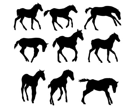 Set of horse silhouette in line art style.Horse vector by hand drawing.Horse tattoo on white background.Illustration of a herd of horses running in the meadow
