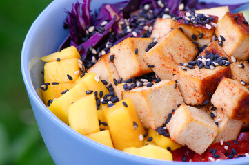Tofu vegetarian poke bowl on wooden table outdoor