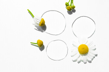 Medicinal chamomile flowers and transparent drops of a cosmetic product on a white background, top view.