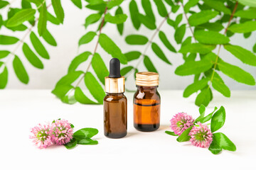 Brown glass bottles with extract and essential oil on a white wooden table with green leaves and clover flowers, front view. Homeopathy, alternative medicine.
