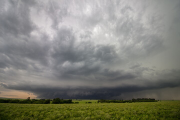 A strong thunderstorm looms on the horizon over a green field in Kansas.