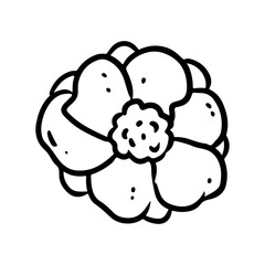 Anemone lineart vector icon. Spring flower doodle comic style image. Hand drawn isolated lineart image for prints, designs, cards. Web and mobile