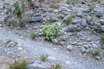 Die Samaria-Schlucht auf Kreta - Der Gran Canyon Europas