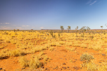 Fototapeta premium Landschaft neben dem Plenty Highway, Northern Territory, Australien
