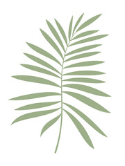 Palm leaf vector illustration. Hand drawn green flat branch icon isolated. Floral sketch design for print, background, banner, card. Ecology symbol, environment concept, eco sign, hipster logo.