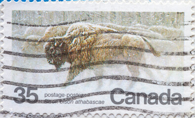 CANADA - CIRCA 1981: a postage stamp from CANADA , showing a Wood Bison (Bison bison athabascae) in a snowstorm. Circa 1981 © zabanski