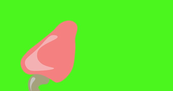 footage animation cashew icon pink and brown fruit jambu mede in greenscreen background