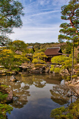Japanese garden reflections