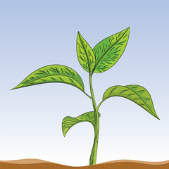 plant in the sky. tree vector illustration
