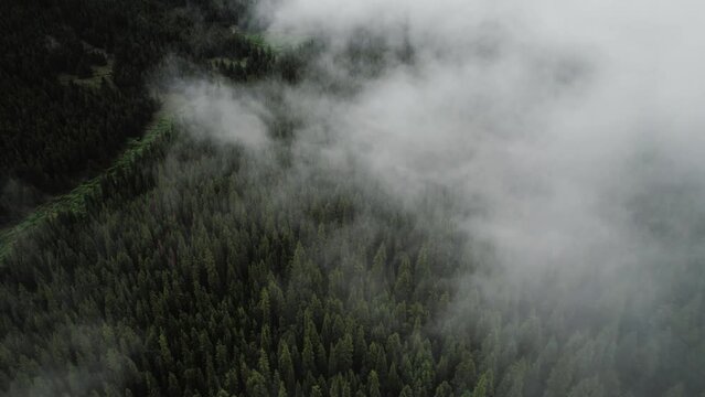 Clouds rolling over the mountains and a forest