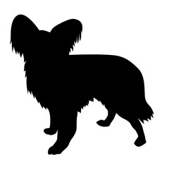 Chihuahua realistic silhouette of a dog stand. The dog is standing
