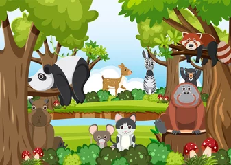 Cute wild animals in the forest © blueringmedia