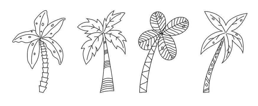 Hand Drawn Palm Trees Doodle Set. Set Of Hand Drawn Coconut Tree Isolated On White Background. Vector Illustration