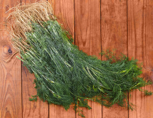 Top view of dill stems with roots on rustic table