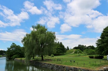 Fototapeta na wymiar 寛ぎの公園　夏の日　風景