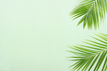 Image of tropical green palm over pastel background