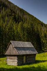 Hut in Chocholowka Valley in tatra National Park mountains in Poland near Zakopane - obrazy, fototapety, plakaty