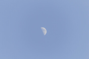 moon in the sky
