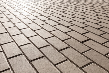 Road surface with new gray concrete paving slabs in even rows. Angle view.