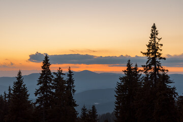 Silhouettes of fir trees in the mountainous valley of the Rhodope Mountains against the background of a sunset sky