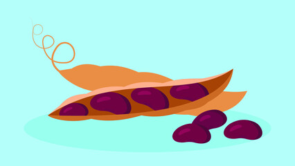 Red beans, bean pods, illustration