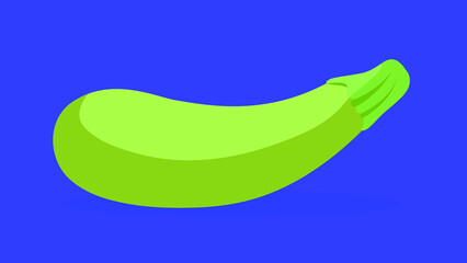 vegetable marrow, zucchini, illustration, vector