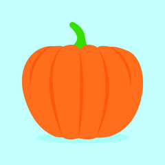 illustration of a pumpkin