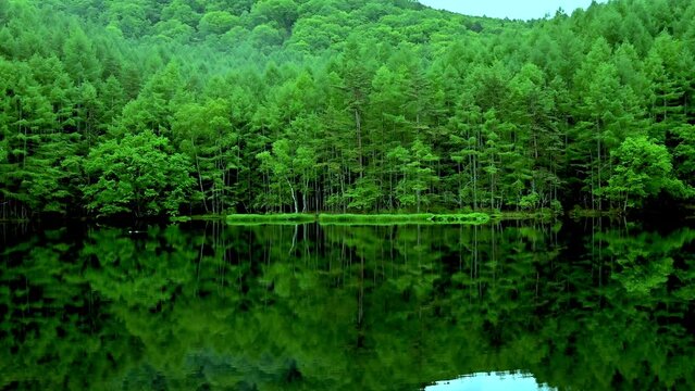 新緑の御射鹿池