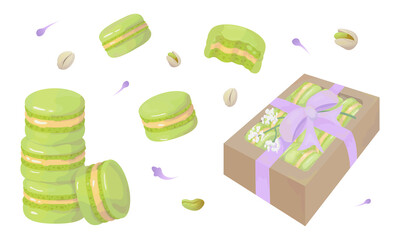 Pistachio macarons in a box. Warecolor french desserts. Vector.