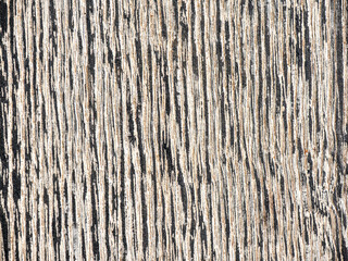 Burnt and painted wood texture background