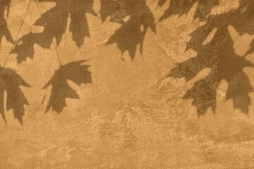 Abstract tree leaves shadows on beige concrete wall texture with roughness and irregularities. Abstract trendy colored nature concept background. Copy space for text overlay, poster mockup flat lay 