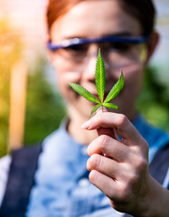 Woman specialist checks up the cannabis plant with a close look, and magnifying glass to have the best product possible. 