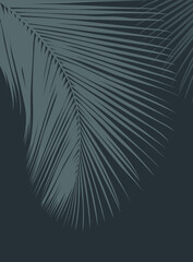 Gray color of tropical leaves pattern style on dark gray color background, flat line vector and illustration.