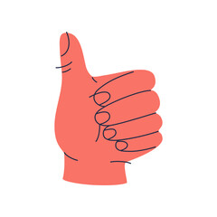 Human hand showing sign good or like, gesture of thumb up. Hand drawn colorful vector illustration isolated on white background. Modern flat cartoon style.