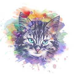 Foto auf Glas abstract colorful cat muzzle illustration, graphic design concept © reznik_val