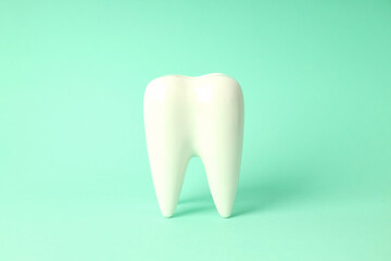 Concept of dental care, tooth on mint background