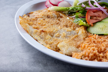 A view of a plate of deep fried tilapia filet.