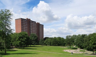 Fototapeta premium city park in spring