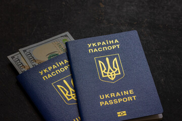 Pair of Ukrainian international passports. Biometric passports.