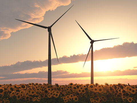 Windkraftanlagen in einem Sonnenblumenfeld bei Sonnenuntergang