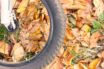 Bicycle wheel against the background of fallen yellow leaves. Cycling through the autumn forest.
