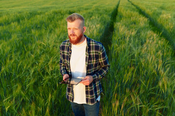 Naklejka na ściany i meble Inspection of a wheat field. A young agronomist with a tablet on the background of a green field. Food problems in the world