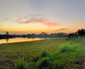 sunset over the lake and the field