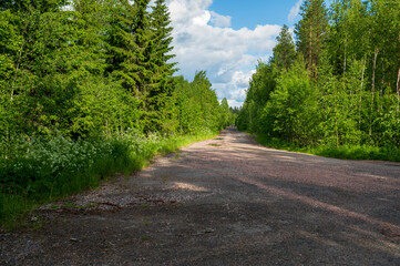 Fototapeta na wymiar Unpaved road in green forest
