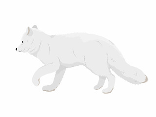 White arctic fox walks in the snow. Realistic vector animal